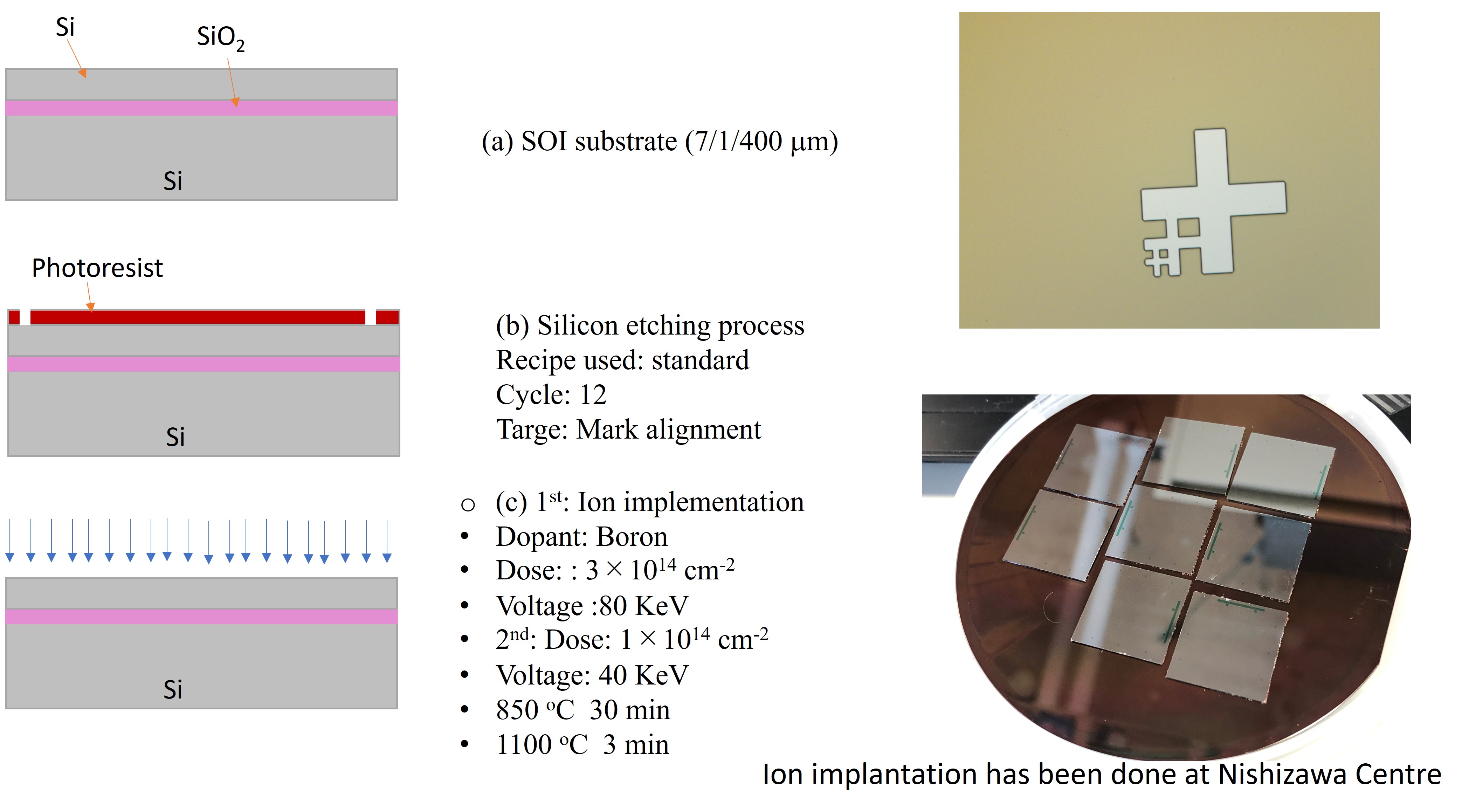 Process Optimization