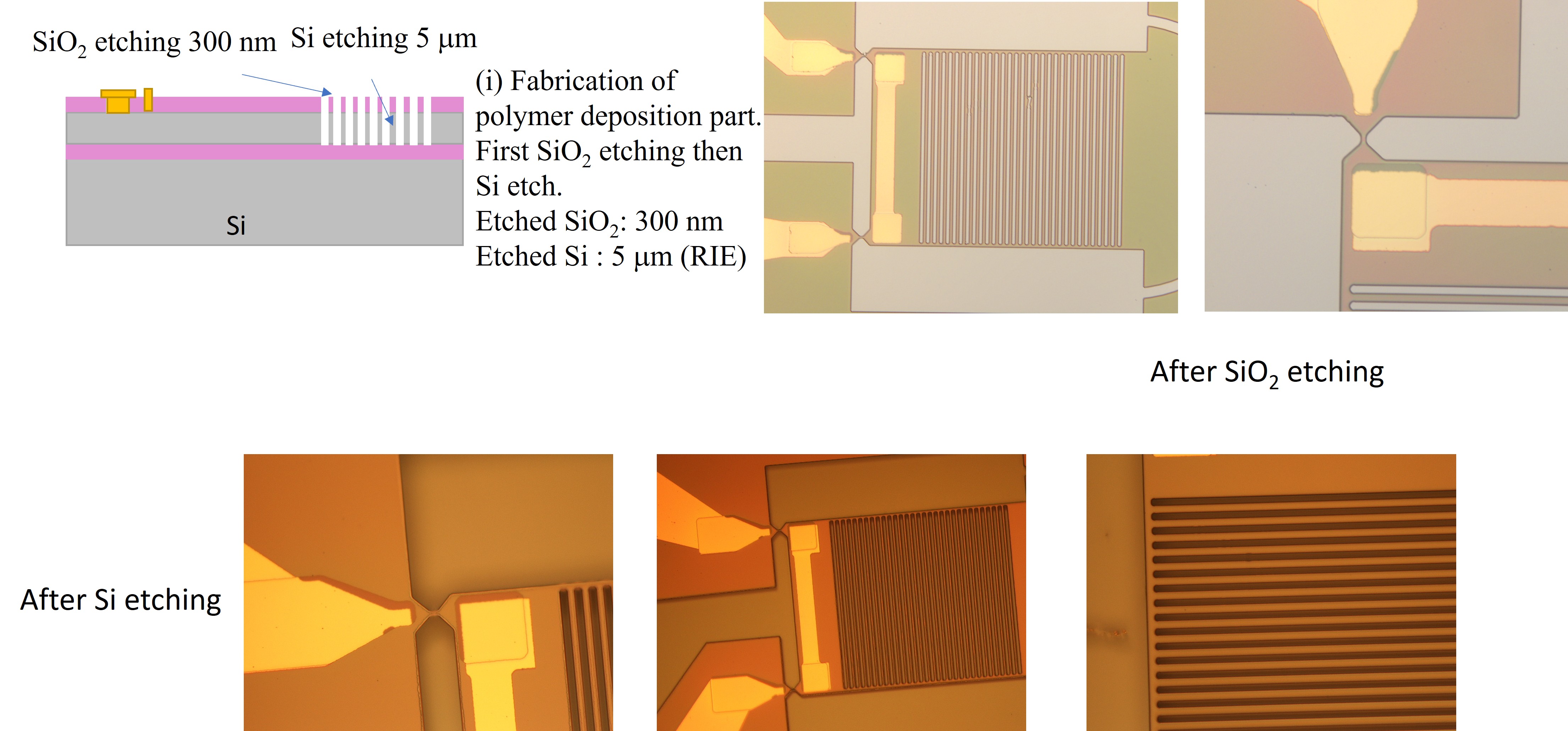 Process Optimization